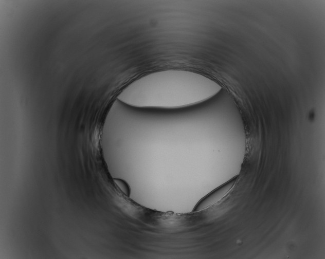 X0000101990142200807180833
