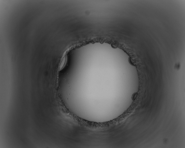 X0000101990144200807180833