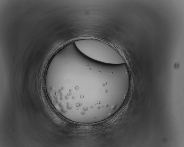 X0000101990145200807180832