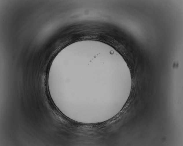 X0000101990146200807180833