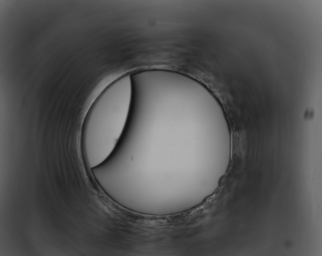 X0000101990147200807180833
