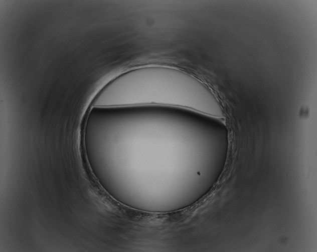 X0000101990148200807180833