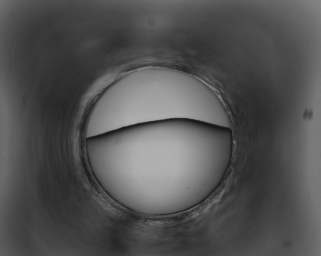 X0000101990149200807180833