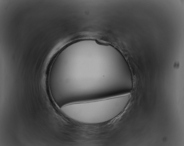 X0000101990150200807180833