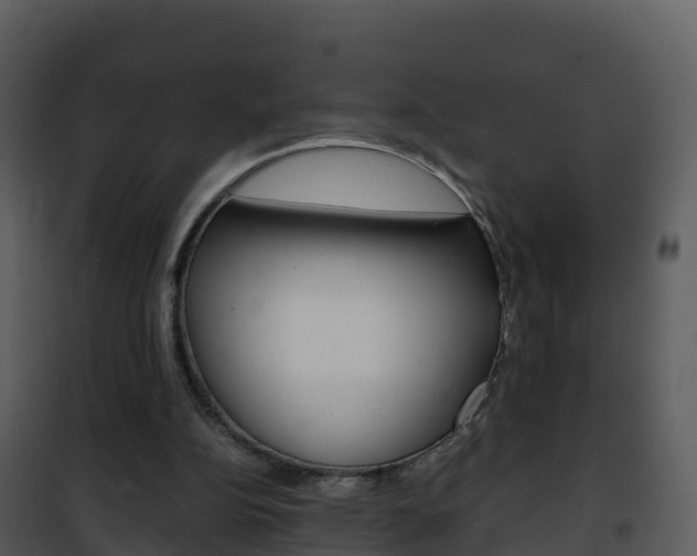 X0000101990152200807180833