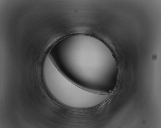 X0000101990154200807180833