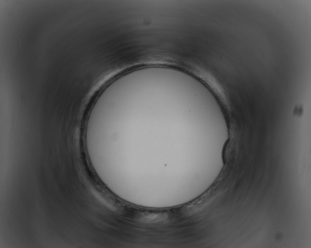 X0000101990155200807180833