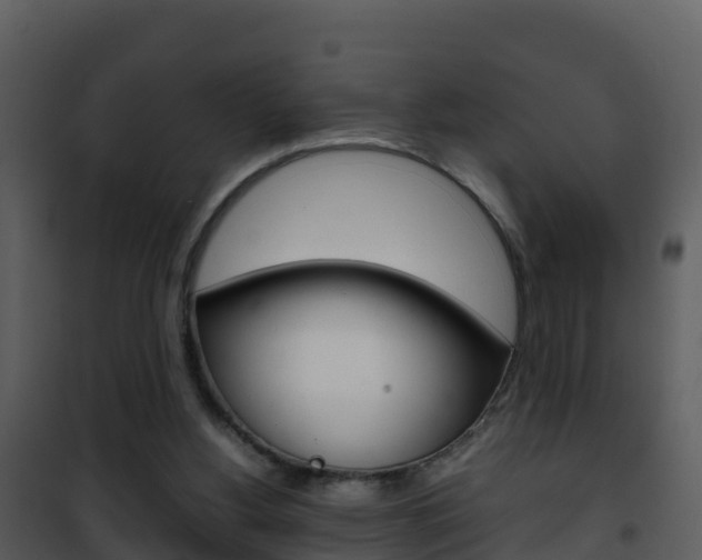 X0000101990156200807180833