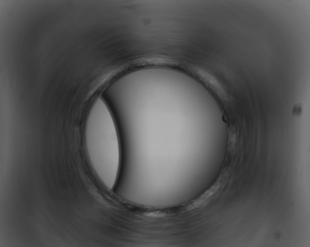 X0000101990158200807180833