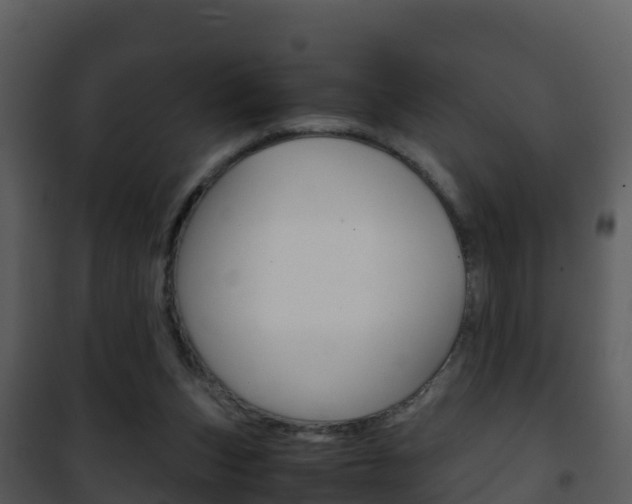 X0000101990159200807180833