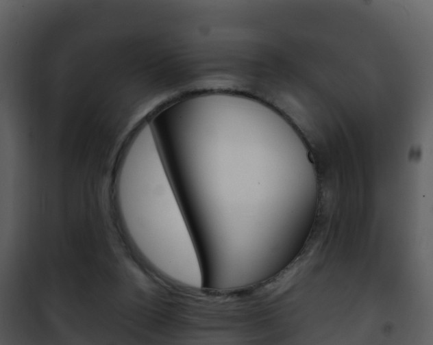 X0000101990160200807180833