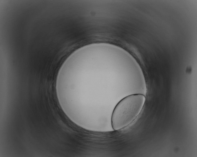 X0000101990162200807180833