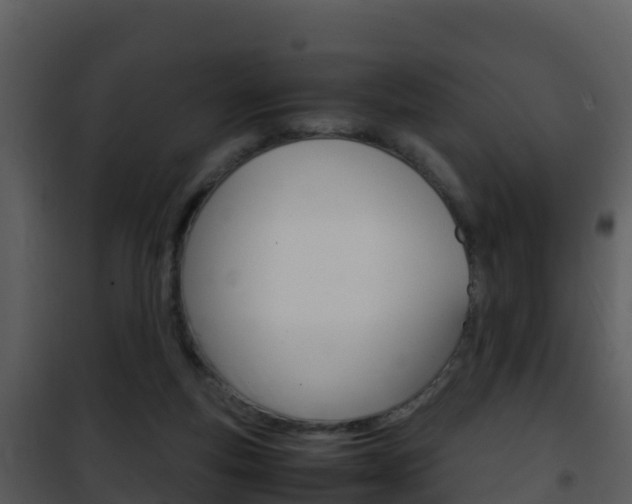 X0000101990163200807180833