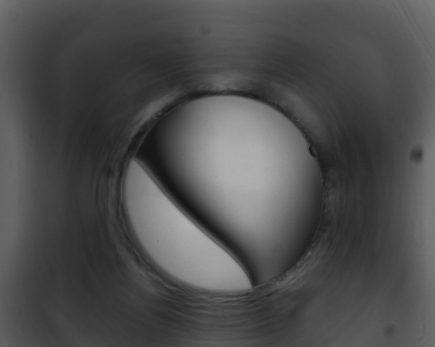 X0000101990164200807180833