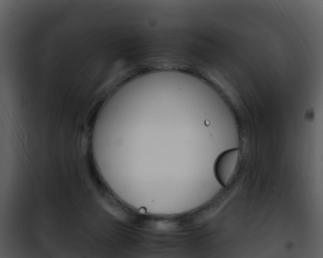 X0000101990165200807180833
