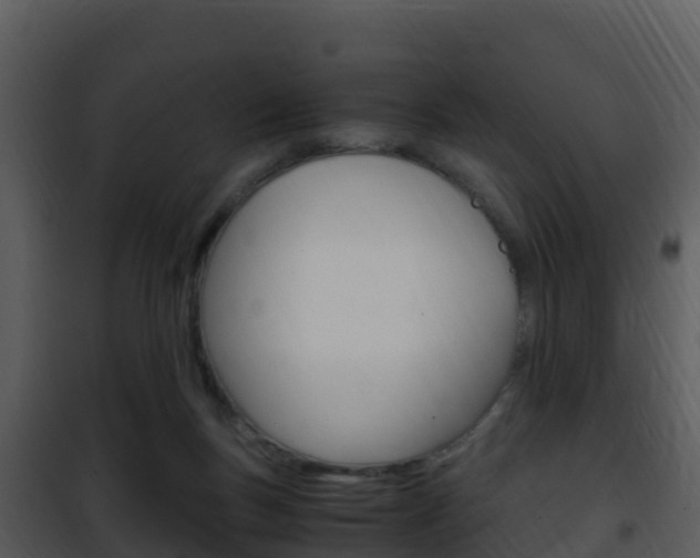 X0000101990167200807180833