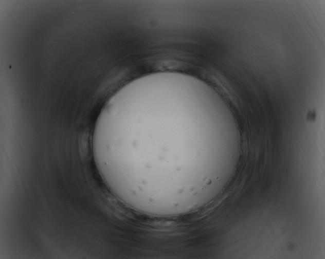 X0000101990169200807180833
