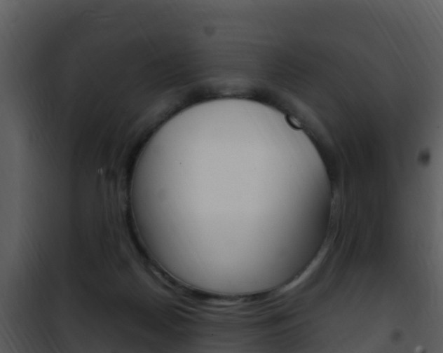 X0000101990170200807180833