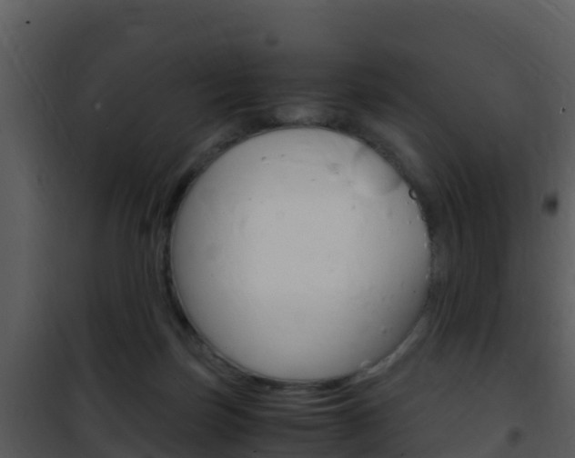 X0000101990171200807180833
