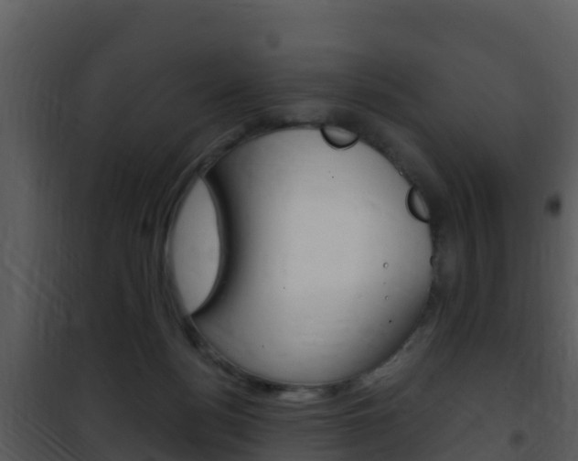 X0000101990172200807180833