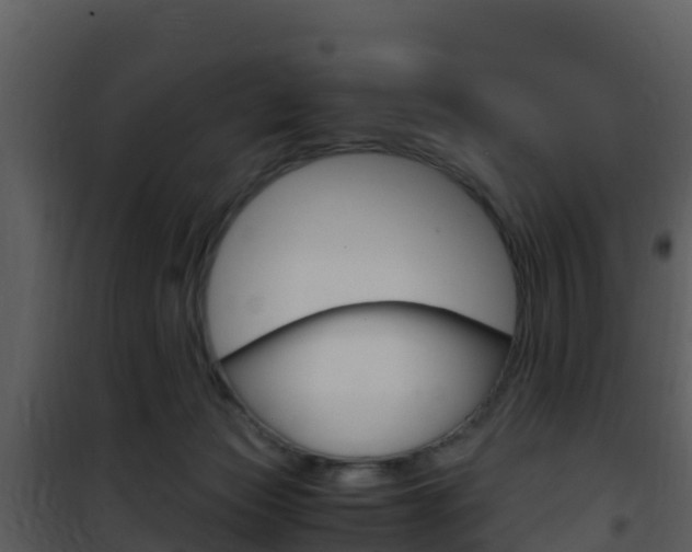 X0000101990173200807180833
