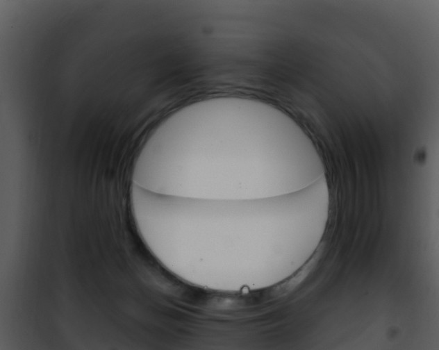 X0000101990174200807180833
