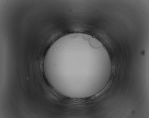 X0000101990175200807180833