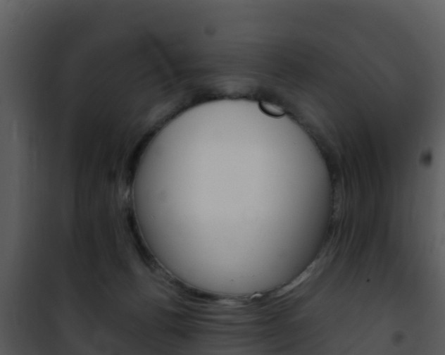 X0000101990176200807180833