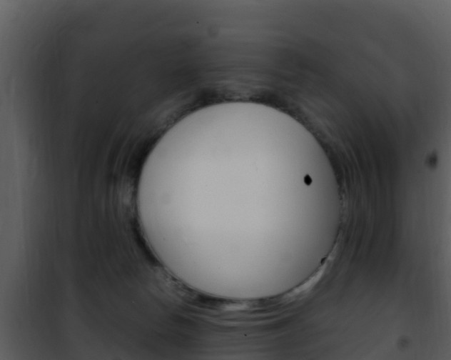 X0000101990178200807180833