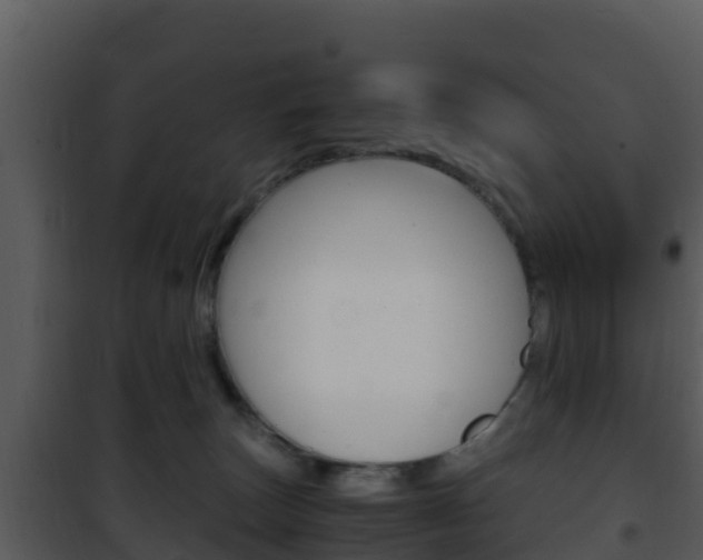 X0000101990179200807180833