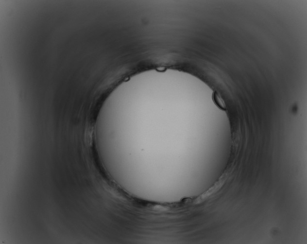 X0000101990180200807180833