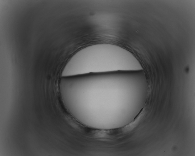 X0000101990182200807180833