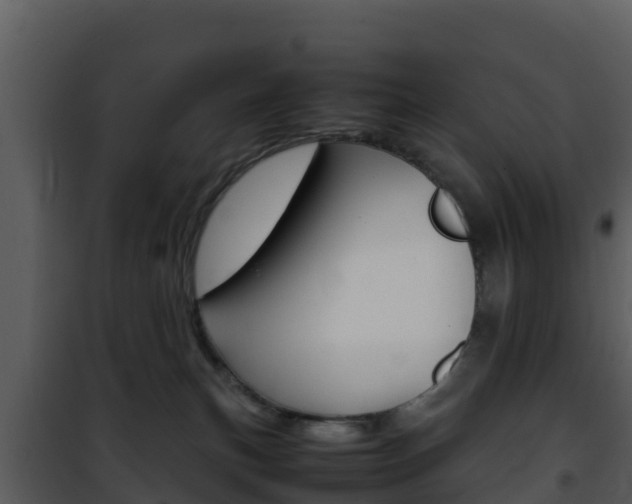 X0000101990183200807180833