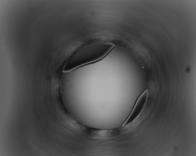 X0000101990184200807180833
