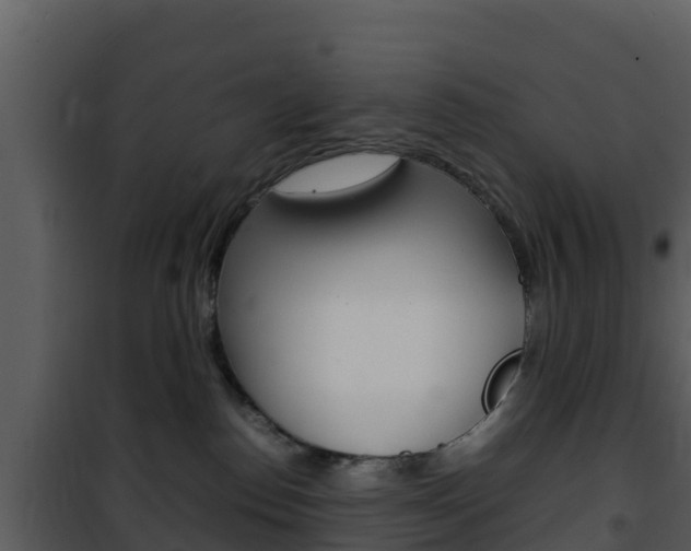 X0000101990186200807180833