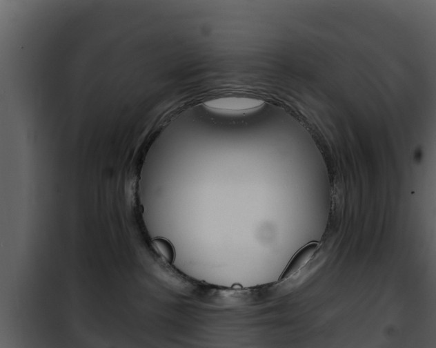 X0000101990188200807180833