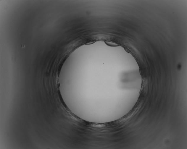 X0000101990189200807180833