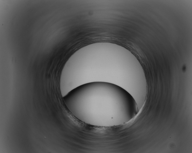 X0000101990190200807180833