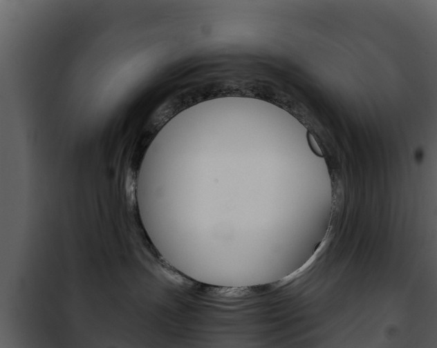 X0000101990191200807180833