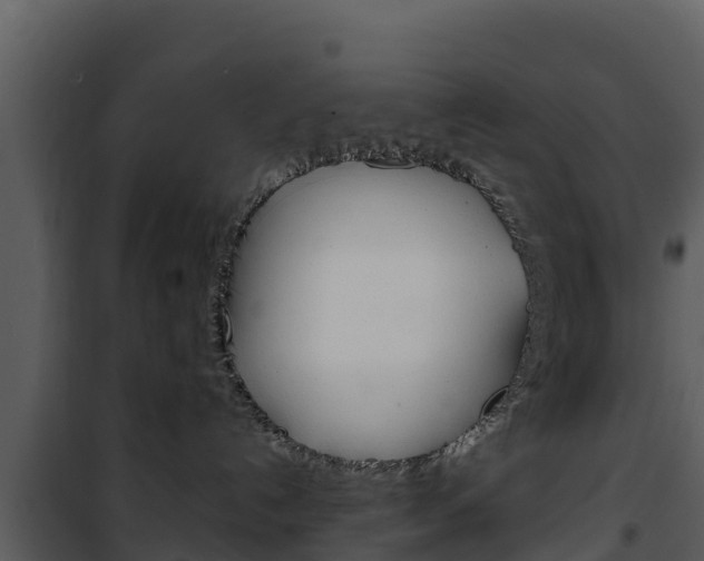 X0000101990192200807180833