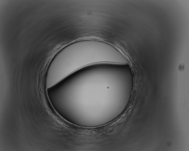 X0000101990193200807180832