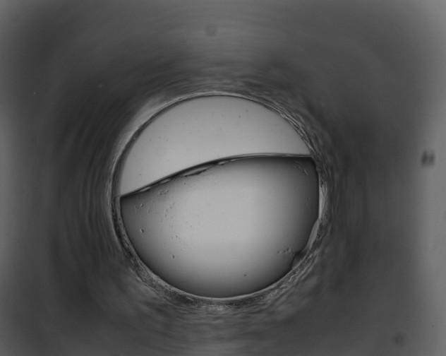 X0000101990195200807180832