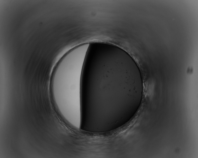 X0000101990196200807180832
