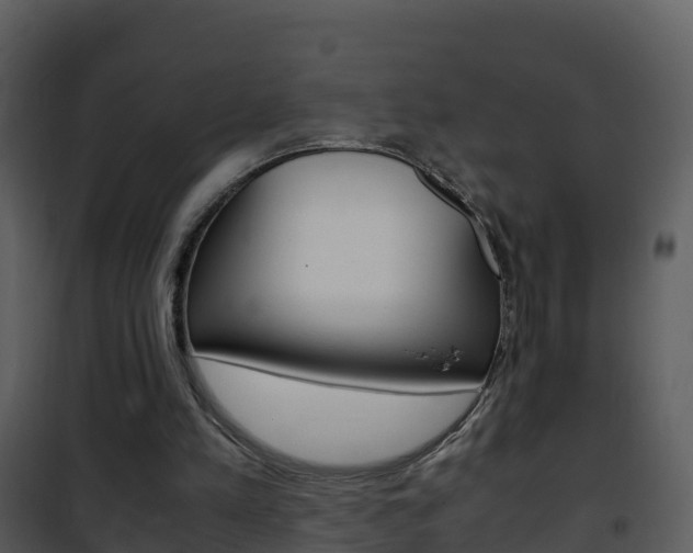 X0000101990197200807180832