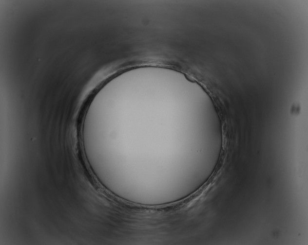 X0000101990198200807180832