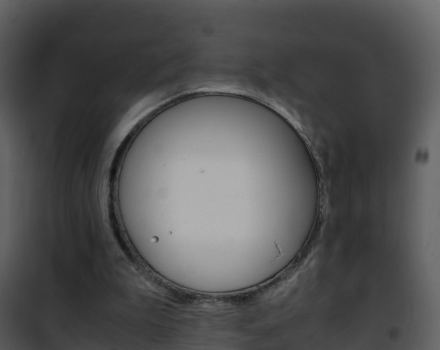 X0000101990199200807180832