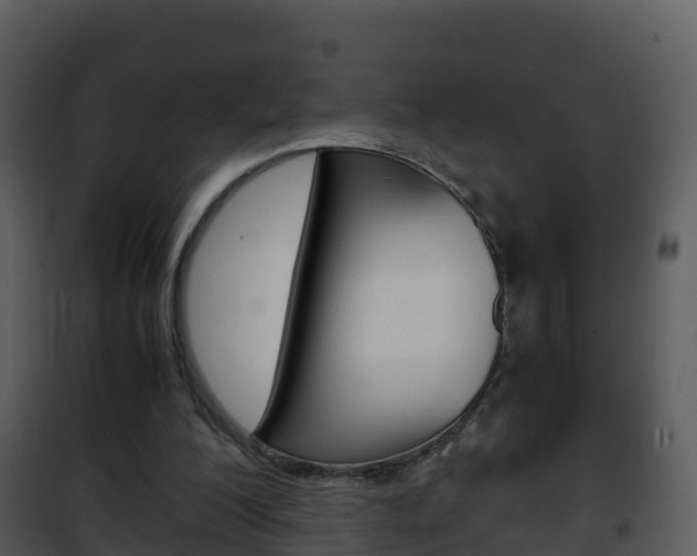 X0000101990200200807180832