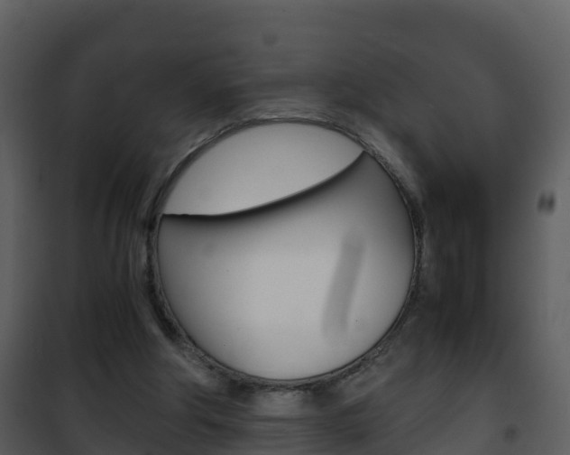 X0000101990202200807180832