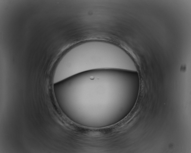 X0000101990203200807180832