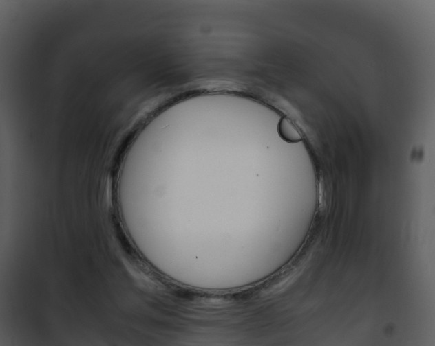 X0000101990205200807180832